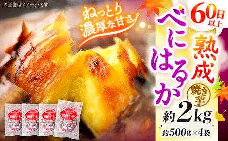 紅はるか焼き芋 約2kg CDA012 焼き芋
