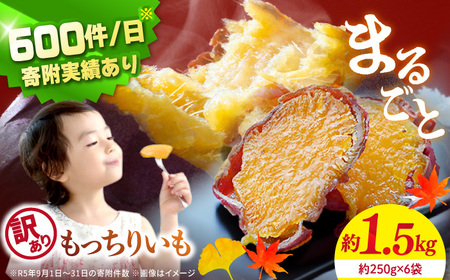 最速発送 訳あり干し芋 1.5kg | CDA018 干し芋