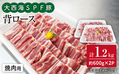 大西海SPF豚 背ロース 焼肉 計1.2kg 訳あり ＜大西海ファーム＞CEK038 焼肉