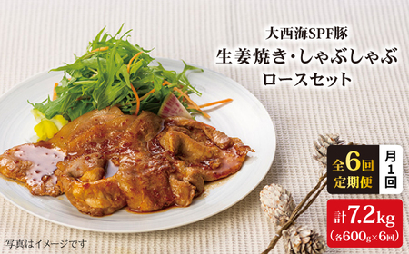 【6回定期便】大西海SPF豚 背ロース しょうが焼き用＆しゃぶしゃぶ用 計1.2kg 訳あり ＜大西海ファーム＞ [CEK043]