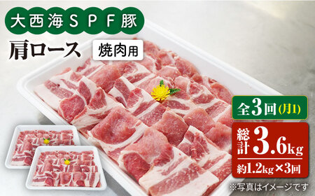 3回定期便 大西海SPF豚 肩ロース 焼肉 計1.2kg 訳あり ＜大西海ファーム＞CEK090 焼肉
