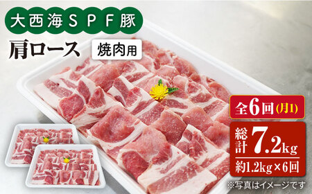 6回定期便 大西海SPF豚 肩ロース 焼肉 計1.2kg 訳あり ＜大西海ファーム＞ [CEK091] 焼肉