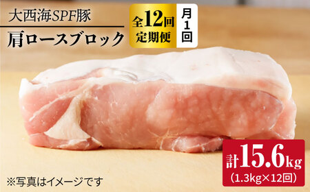 【12回定期便】大西海SPF豚 肩ロースブロック 計1.3kg 訳あり ＜大西海ファーム＞ [CEK118]