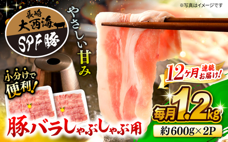 12回定期便 国産豚シャブシャブ用 計1.2kg 訳あり CEK122