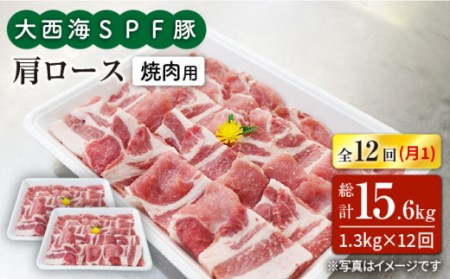 12回定期便 大西海SPF豚 肩ロース 焼肉 計1.2kg 訳あり ＜大西海ファーム＞CEK125 焼肉