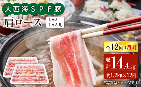 12回定期便 大西海SPF豚 肩ロース（しゃぶしゃぶ用）計1.2kg 訳あり ＜大西海ファーム＞ [CEK126]