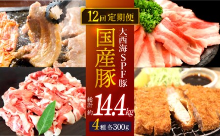 【訳あり】【12回定期便】【大人気こま切れ入り♪】大西海SPF豚 国産豚 豚肉4種類 1.2kgセット 【大西海ファーム食肉加工センター】 [CEK169]