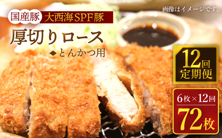12回定期便 大西海SPF豚 厚切りロース とんかつ用＜大西海ファーム＞ [CEK177] とんかつ 豚肉 とんかつ 豚肉 とんかつ 豚肉 とんかつ 豚肉 とんかつ 豚肉