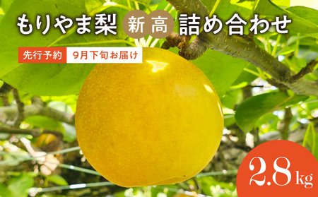 びわこもりやまフルーツランド  もりやま梨　新高詰め合わせ  完熟採り　生産農家直送 CV-0014