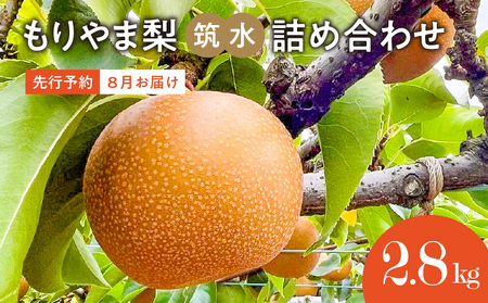 びわこもりやまフルーツランド  もりやま梨　筑水詰め合わせ  完熟採り　生産農家直送 CV-0010