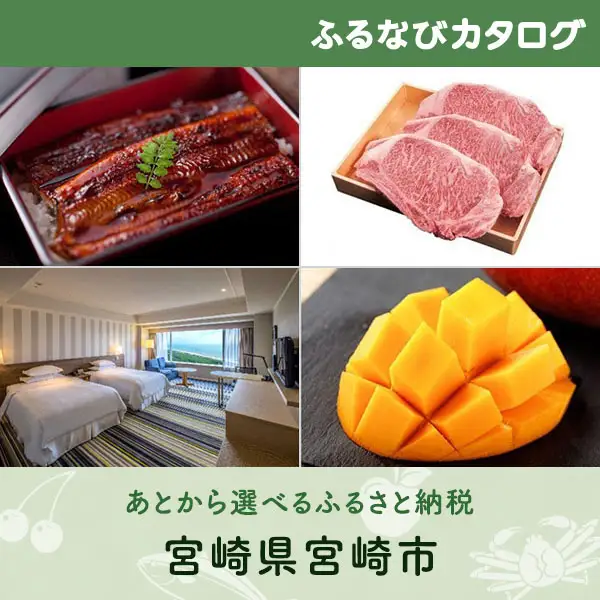 【有効期限なし！後からゆっくり特産品を選べる】宮崎県宮崎市カタログポイント