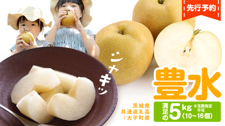 梨 豊水 約5kg（10～16個）【2026年9月より発送開始】（茨城県共通返礼品 [梨]：大子町産）