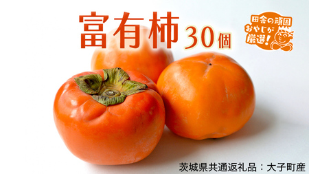富有柿 30個【2026年11月より発送開始】（茨城県共通返礼品 [柿]：大子町産）