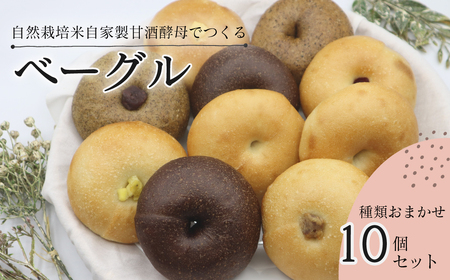 天然酵母ベーグル 種類おまかせ10個セット　西条市産の自然栽培米でつくる 自家製米麹生あま酒を使用した 天然酵母ベーグル