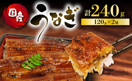 国産 120g 蒲焼 うなぎ 2尾 うなぎ