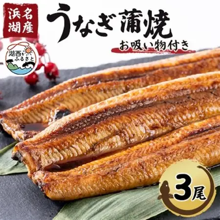 【浜名湖産】うなぎ蒲焼き(真空パック)×3本　タレ・山椒・お吸い物付_魚介・海産物 うなぎ  ウナギ 鰻  魚介・海産物   _【配送不可地域：離島】【1398866】