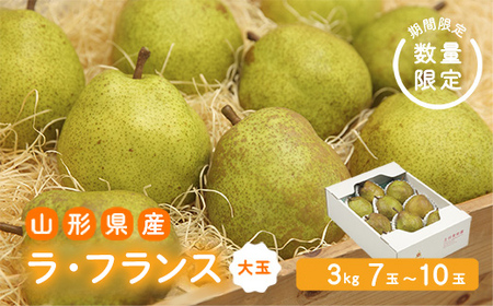 《先行予約 2026年度発送》【王将果樹園】ラ・フランス大玉3kg～生産量日本一のまちより～ なし ナシ 梨 デザート フルーツ 果物 くだもの 果実 食品 山形県 FSY-2684
