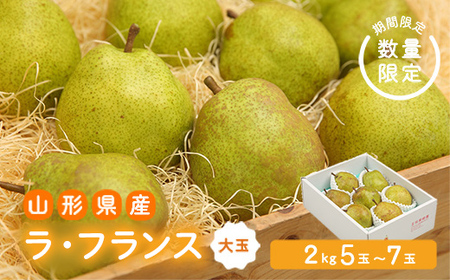 《先行予約 2026年度発送》【王将果樹園】ラ・フランス大玉2kg～生産量日本一のまちより～ なし ナシ 梨 デザート フルーツ 果物 くだもの 果実 食品 山形県 FSY-2685