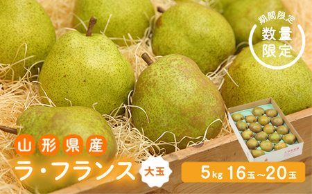 《先行予約 2026年度発送》【王将果樹園】ラ・フランス5kg～生産量日本一のまちより～ なし ナシ 梨 デザート フルーツ 果物 くだもの 果実 食品 山形県 FSY-2686
