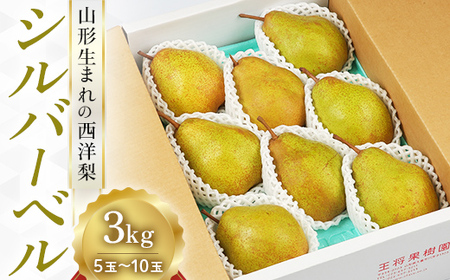 《先行予約 2026年度発送》【王将果樹園】西洋梨シルバーベル3kg～山形生まれの西洋梨～ なし ナシ 梨 デザート フルーツ 果物 くだもの 果実 食品 山形県 FSY-1904