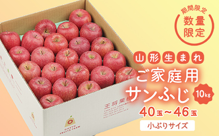 《先行予約 2026年度発送》【王将果樹園】ご家庭用サンふじ 10kg りんご リンゴ 林檎 デザート フルーツ 果物 くだもの 果実 食品 山形県 FSY-2690