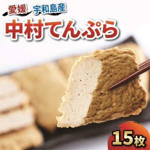 じゃこ天 中村てんぷら 15枚 中村かまぼこ店 てんぷら C012-013004