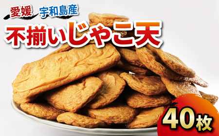練物 訳あり 不揃い じゃこ天 40枚 中村かまぼこ店 練物 C012-013005