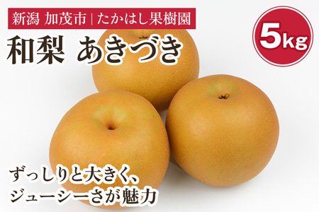 【2026年先行予約】たかはし果樹園 謹製 新潟県産和梨 あきづき 約5kg《9月中旬～順次配送》たかはし果樹園あきづき梨