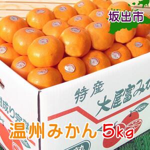 ≪先行受注≫温州みかん 香川産 約5kg ( S ～ Lサイズ ) ｜ みかん 味濃い