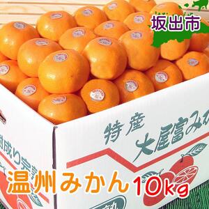 ≪先行受注≫温州みかん 香川産 約10kg ( S ～ Lサイズ ) ｜ みかん 味濃い