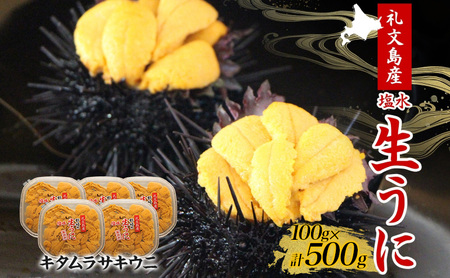 北海道 礼文島産 ミョウバン不使用 塩水ウニ キタムラサキウニ 100g×5パック［野崎水産］【 うに ウニ 雲丹 生うに 塩水うに ムラサキウニ 素材本来の味 海鮮 うに丼 濃厚 甘み 産地直送 】
