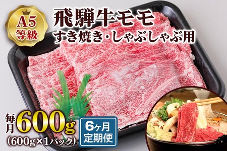 [6ヶ月定期便][A5等級] 飛騨牛モモ すき焼き ・しゃぶしゃぶ用600g [0868] すき焼き トキノ屋食品
