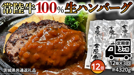 【茨城県共通返礼品】【3ヶ月定期便】 黒毛和牛 常陸牛 100% 特製 プレミアム 生ハンバーグ 120g×12個入り 合計1,440g 八千代町産 白菜 使用 無添加 無着色 保存料不使用 冷凍 牛 牛肉 ビーフ 生 ハンバーグ こだわり [AU055ya]