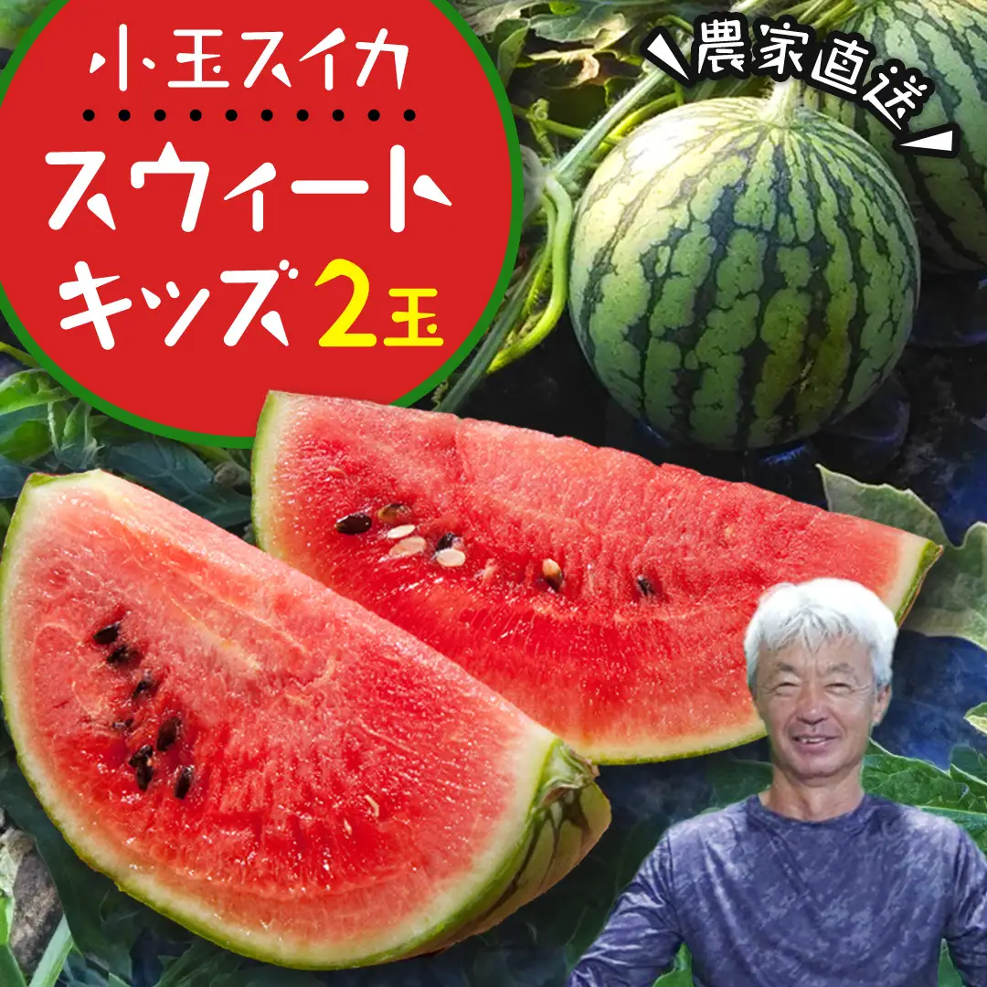 小玉 スイカ スウィートキッズ 2玉 セット 先行予約 小玉スイカ すいか 西瓜 こだますいか フルーツ 果物 くだもの 農家直送 旬 甘い ギフト 人気 産直 [CQ001sa]