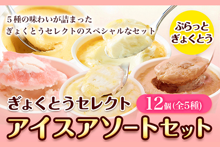 ぎょくとうセレクト アイスアソートセット 12個(全5種)《60日以内に出荷予定(土日祝除く)》 熊本県玉名郡玉東町 すもも ハニーローザ いちご イチゴ いちご しらぬい 不知火 チョコ チョコレート ヨーグルト アイス シャーベット ぷらっとぎょくとう 