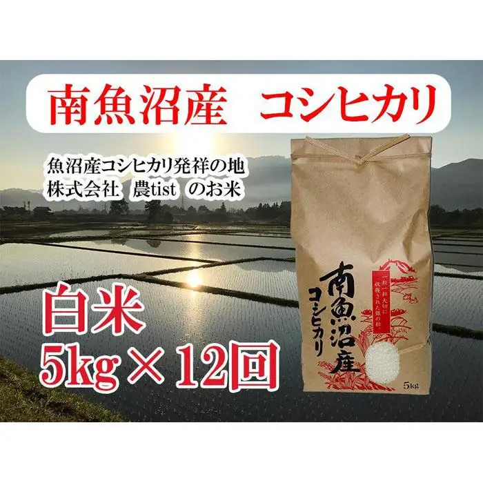 【令和7年産】【定期便 南魚沼産】コシヒカリ 白米5kg×12回【定期便 銘柄米 ブランド米 精米 こしひかり コシヒカリ 魚沼産 新潟米 産地直送 お米 米 こめ コメ ご飯 御飯 ごはん】