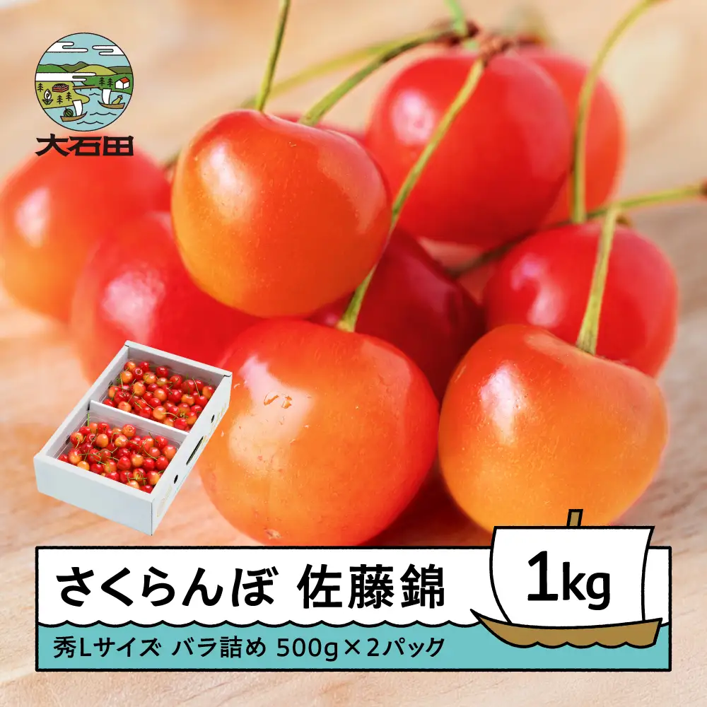 令和8年産 さくらんぼ 佐藤錦 秀L 1kg ns-snslb1