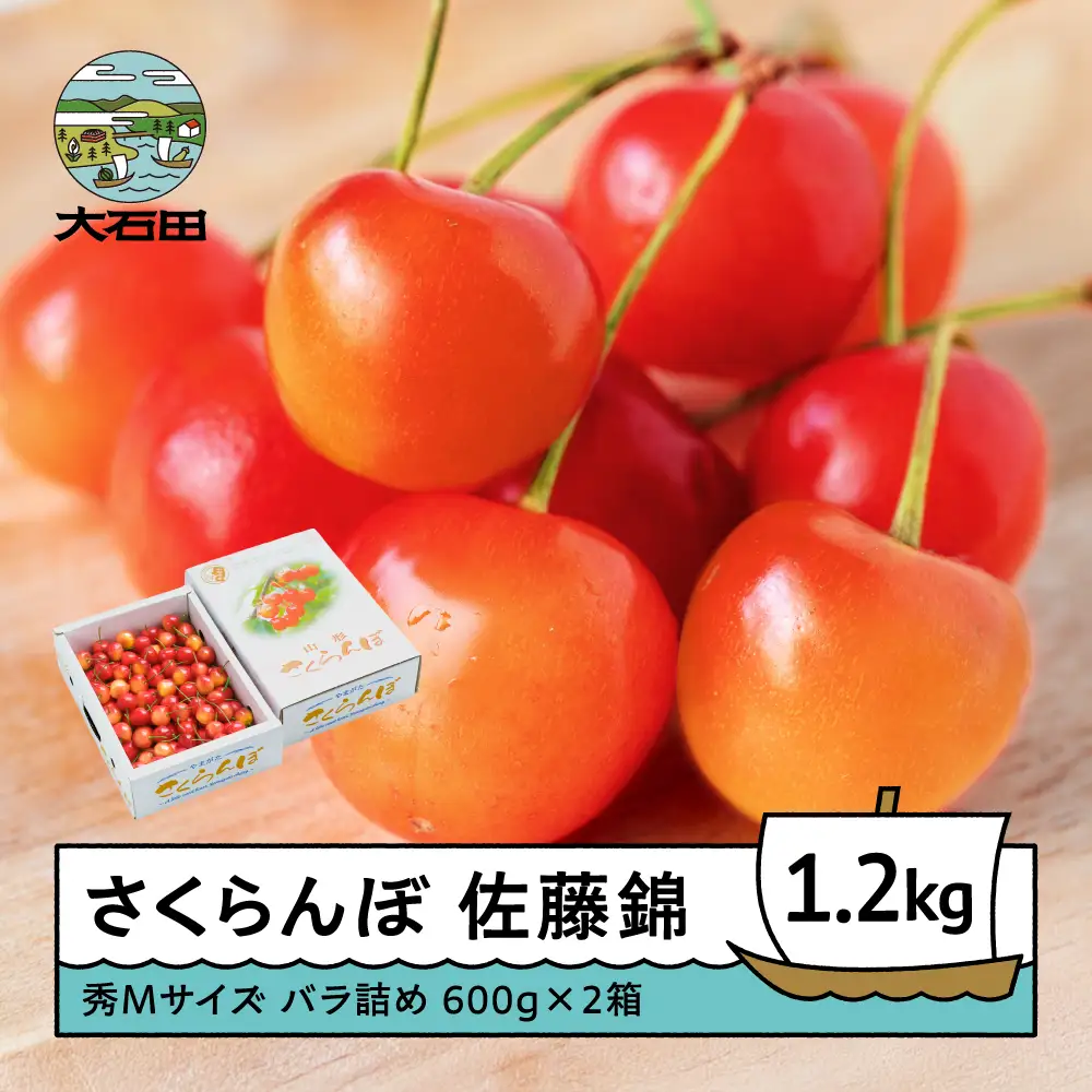 令和8年産 さくらんぼ 佐藤錦 秀M 1.2kg ns-snsmb1200
