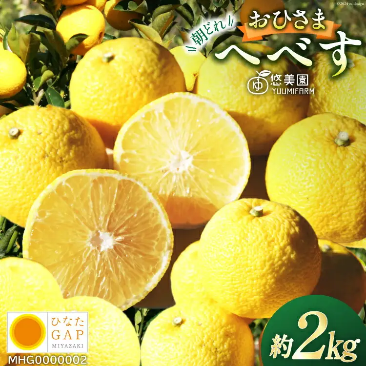 【期間限定発送】 おひさまへべす ひなたGAP認定 ふぞろい 2kg [へべすの悠美園 宮崎県 日向市 452060723]