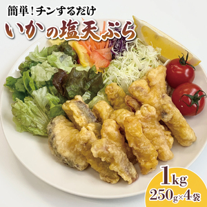 イカ塩天ぷら 250g×4袋 イカ