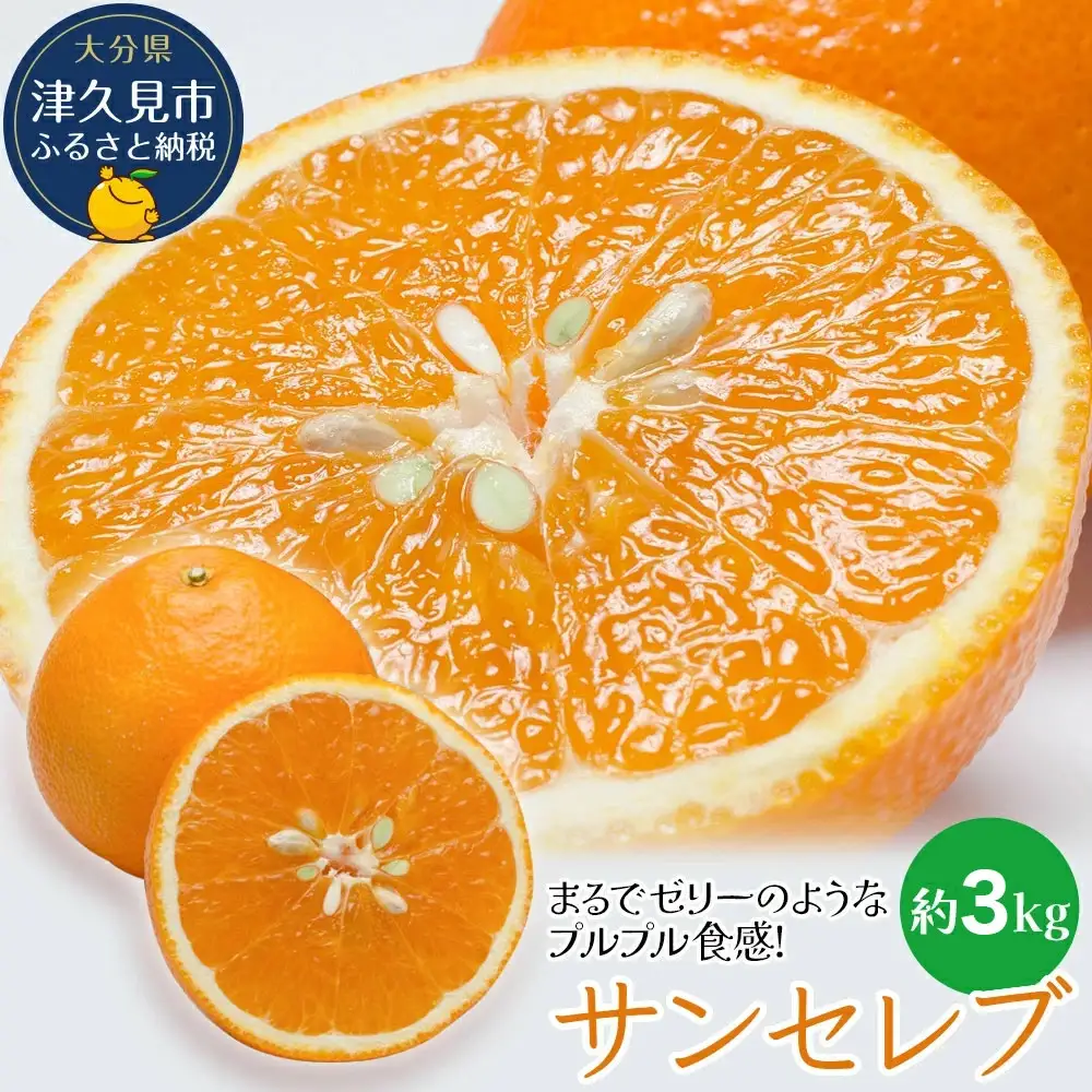 まるでゼリーのようなプルプル食感!サンセレブ約3kg(化粧箱) みかん ミカン | 津久見市