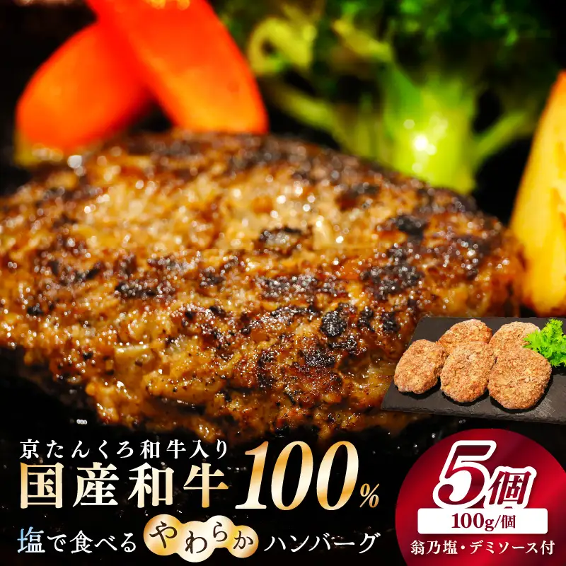 【ハンバーグ】塩で食べるやわらかハンバーグ 5個 デミグラスソース付