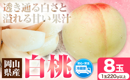 白桃 8玉 【配送不可地域あり】桃　等級ロイヤル
