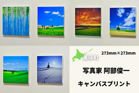 写真家　阿部俊一　キャンバスプリント(273mm × 273mm)[036-28]