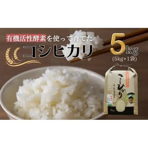  令和7年産 有機活性酵素を使用 新見産コシヒカリ 白米5kg×1袋
