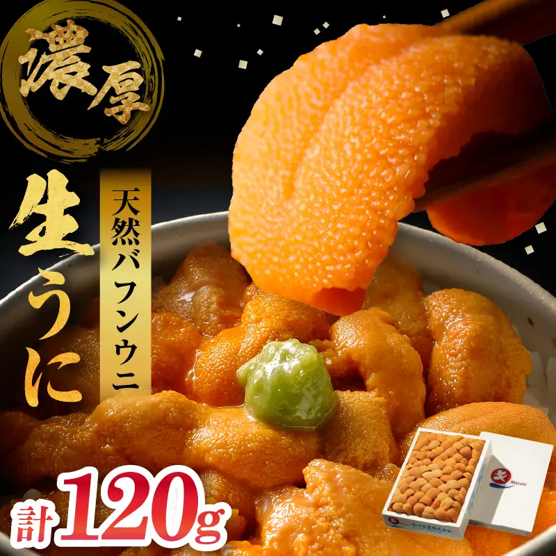 生折うに 120g×1枚 うに 冷蔵_H0009-101