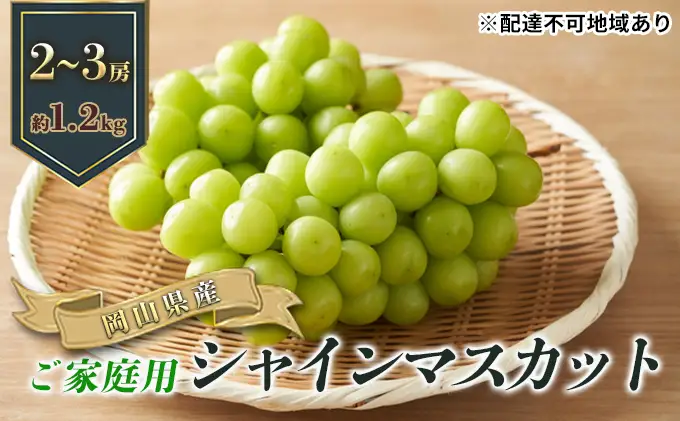 ぶどう 2026年 先行予約 ご家庭用 シャイン マスカット 2～3房 合計約1.2kg ブドウ 葡萄  岡山県産 国産 フルーツ 果物 ギフト