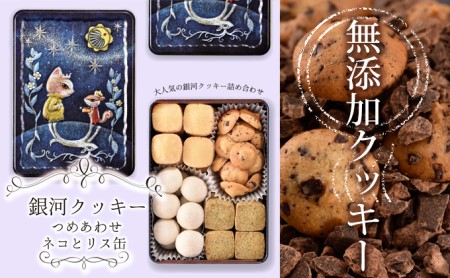 クッキー缶 銀河 クッキー ネコとリス缶 無添加 バタークッキー チョコクッキー