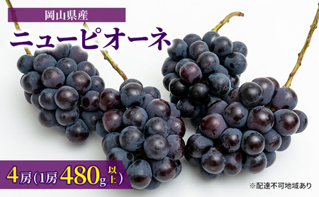ぶどう 2026年 先行予約 ニュー ピオーネ 4房（1房480g以上）約2kg