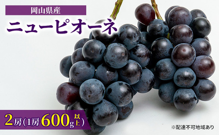 ぶどう 2026年 先行予約 ニュー ピオーネ 2房（1房600g以上）化粧箱